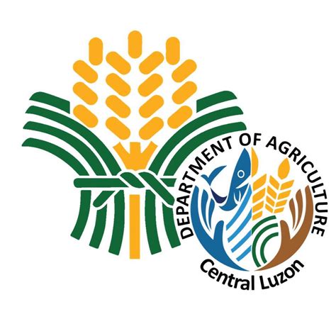 A Review of the Agriculture Sector in Central Luzon.